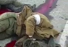 ВИДЕО: мрази укронацисты расстреливают в упор российских военнопленных ВИДЕО: мрази укронацисты расстреливают в упор российских военнопленных