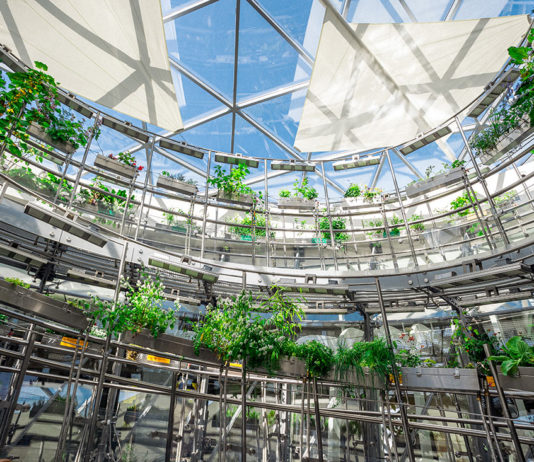 Парк Зарядье с 31 мая по 2 июня: Фитобокс флора Донбасса, Фестиваль школ искусств, «Новая красивая выставка. Лето» Парк Зарядье с 31 мая по 2 мая: Фитобокс флора Донбасса, Фестиваль школ искусств, "Новая красивая выставка. Лето"