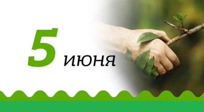 Сегодня 5 июня — Всемирный день окружающей среды Сегодня 5 июня - Всемирный день окружающей среды