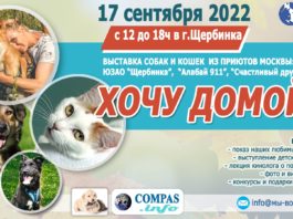 17 сентября 2022 в г.Щербинка ВЫСТАВКА «ХОЧУ ДОМОЙ»: собаки и кошки из приютов Москвы и МО «Приют Щербинка», «Алабай 911», «Счастливый Друг» 17 сентября 2022 в г.Щербинка ВЫСТАВКА "ХОЧУ ДОМОЙ": собаки и кошки из приютов Москвы и МО "Приют Щербинка", "Алабай 911", "Счастливый Друг"