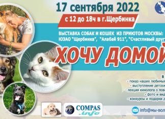 17 сентября 2022 в г.Щербинка ВЫСТАВКА «ХОЧУ ДОМОЙ»: собаки и кошки из приютов Москвы и МО «Приют Щербинка», «Алабай 911», «Счастливый Друг» 17 сентября 2022 в г.Щербинка ВЫСТАВКА "ХОЧУ ДОМОЙ": собаки и кошки из приютов Москвы и МО "Приют Щербинка", "Алабай 911", "Счастливый Друг"