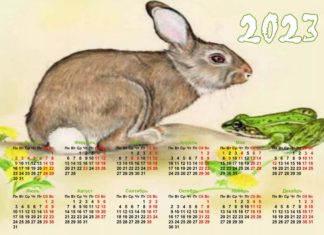 Праздничные и выходные дни в 2023 году, производственный календарь от Минтруда России Праздничные и выходные дни в 2023 году, производственный календарь от Минтруда России
