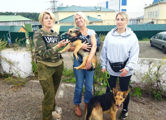 Видеоприглашение-обращение волонтеров приюта ЮЗАО «Щербинка» на выставку ХОЧУ ДОМОЙ: А.Булычева, Н.Плескач, А.Трачук, А.Ершова Видеоприглашение-обращение волонтеров приюта ЮЗАО "Щербинка" на выставку ХОЧУ ДОМОЙ: А.Булычева, Н.Плескач, А.Трачук, А.Ершова