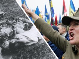 Трибунал на укронацистами, уничтожавшими жителей Донбасса, будет открытым и публичным. Мир должен знать их в лицо! Трибунал на укронацистами, уничтожавшими жителей Донбасса, будет открытым и публичным. Мир должен знать их в лицо!