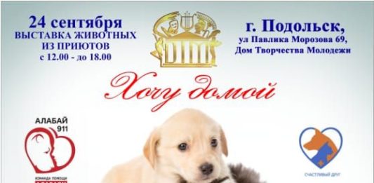 24 сентября в Подольске: выставка приютских собак и кошек «ХОЧУ ДОМОЙ» и художественная выставка «Ребятам о зверятах» 24 сентября в Подольске пройдет выставка приютских собак и кошек Ребятам о зверятах