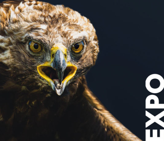 Московская Международная Выставка оружия и товаров для охоты «ORЁLEXPO 2022» в Гостином дворе, с 13 по 16 октября 2022 Московская Международная Выставка оружия и товаров для охоты «ORЁLEXPO 2022» в Гостином дворе, с 13 по 16 октября 2022