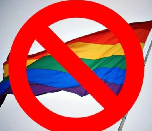 Принятие Закона о запрете пропаганды нетрадиционных сексуальных отношений в СМИ, интернете, кино и литературе Принятие Закона о запрете пропаганды нетрадиционных сексуальных отношений в СМИ, интернете, кино и литературе