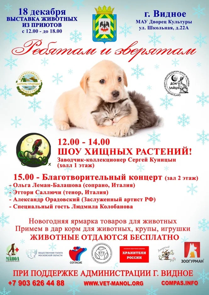 АФИША - 18 декабря 2022 выставка бездомных животных ХОЧУ ДОМОЙ в г.Видное