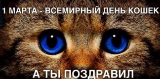 Сегодня, 1 Марта — Всемирный День кошек, в самый первый день весны! «Мировые» кошки, как отметить этот день Сегодня, 1 Марта - Всемирный День кошек, в самый первый день весны! История события, "мировые" кошки