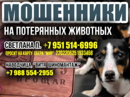 ВНИМАНИЕ ВСЕМ! Мрази-мошенники на пропавших животных: Светлана П. +7 (951) 514-6996, «наводчица» ВИТЯ +7 988 554-2955 ВНИМАНИЕ ВСЕМ! Мрази-мошенники на пропавших животных: Светлана П. +7 (951) 514-6996, наводчица ВИТЯ +7 988 554-2955