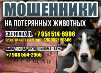 ВНИМАНИЕ ВСЕМ! Мрази-мошенники на пропавших животных: Светлана П. +7 (951) 514-6996, «наводчица» ВИТЯ +7 988 554-2955 ВНИМАНИЕ ВСЕМ! Мрази-мошенники на пропавших животных: Светлана П. +7 (951) 514-6996, наводчица ВИТЯ +7 988 554-2955