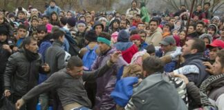 Данные МВД о преступлениях мигрантов в РФ: узбеки 40%, таджики 25%, киргизы 14%, убийства, наркотики, особо тяжкие Данные МВД о преступлениях мигрантов в РФ: узбеки 40%, таджики 25%, киргизы 14%, убийства, наркотики, особо тяжкие