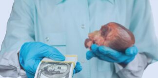 Черная трансплантология на Украине — сатанисты во власти Ермак, Загрийчук, Швыдь и пр. режут хохлов на «запчасти» для продажи Черная трансплантология на Украине - сатанисты во власти Ермак, Загрийчук, Швыдь и пр. режут хохлов на "запчасти" для продажи