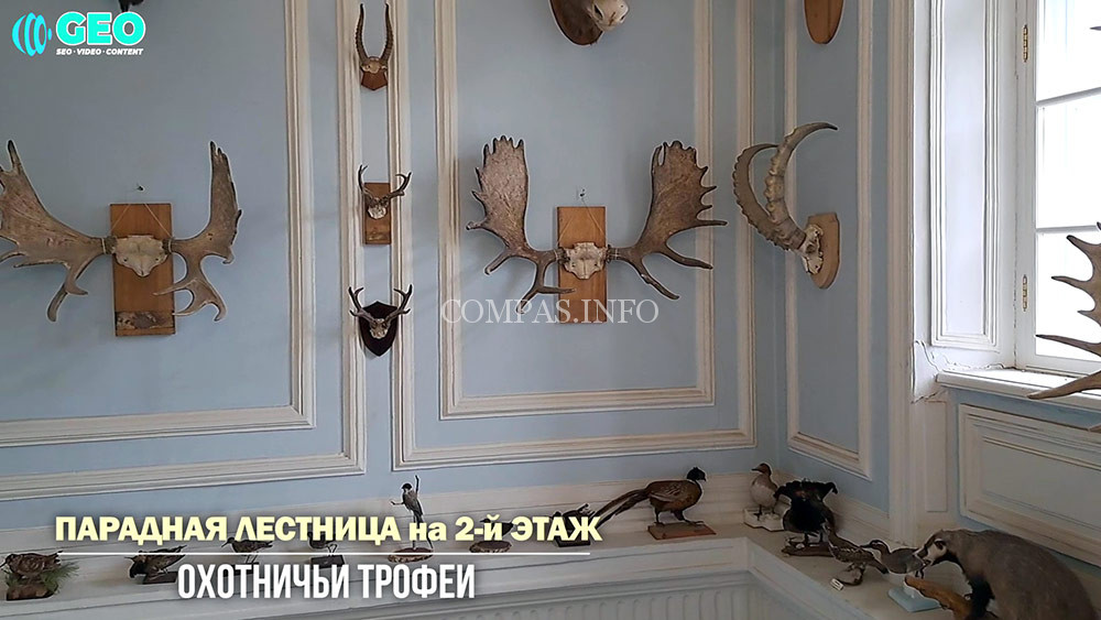 Парадная лестница на 2й этаж дворца и Охотничий зал с охотничьими трофеями внука Д.В.Голицына, Дмитрия Борисовича Голицына 