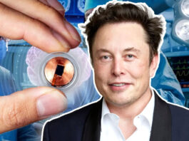 Трансгуманизим и чипирование человека: нейроинтерфейсы DARPA и Neuralink, кто и зачем «правит» мозг человека Трансгуманизим и чипирование человека - нейроинтерфейсы DARPA и Neuralink, кто и зачем правит мозг человека