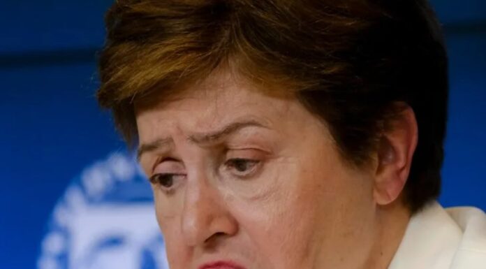 Кристалина Георгиева, финансовый директор МВФ, досье: её не выбирал никто, в чьих интересах она контролирует финансы? Кристалина Георгиева, финансовый директор МВФ, досье: её не выбирал никто, но в чьих интересах она контролирует финансы?